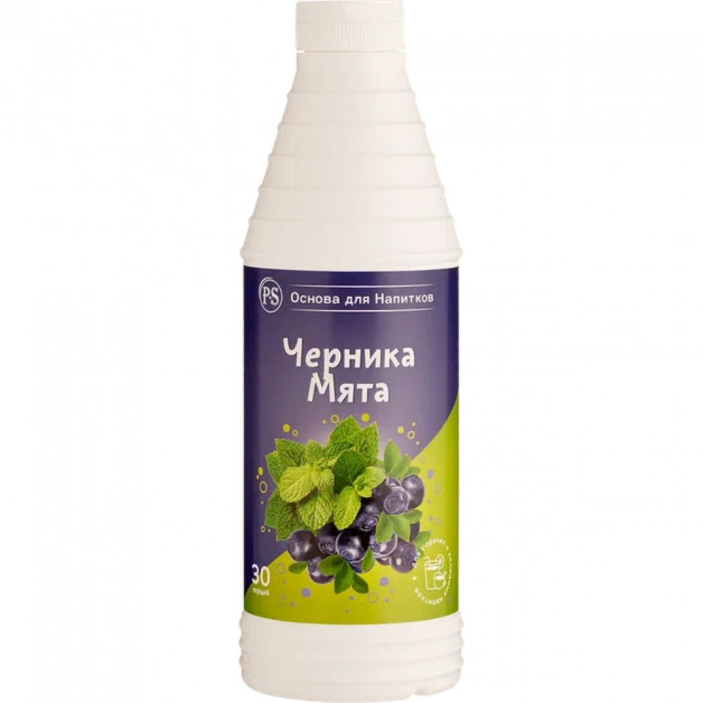 Черника-Мята Proffsyrup